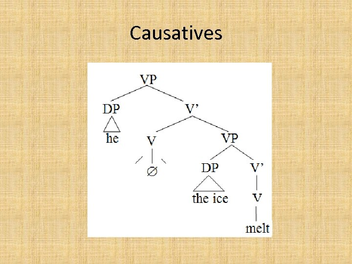 Causatives 