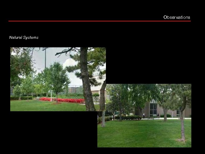 Observations Natural Systems 