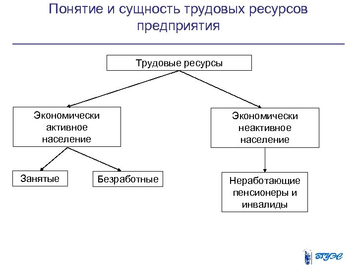 Понятие трудовых ресурсов