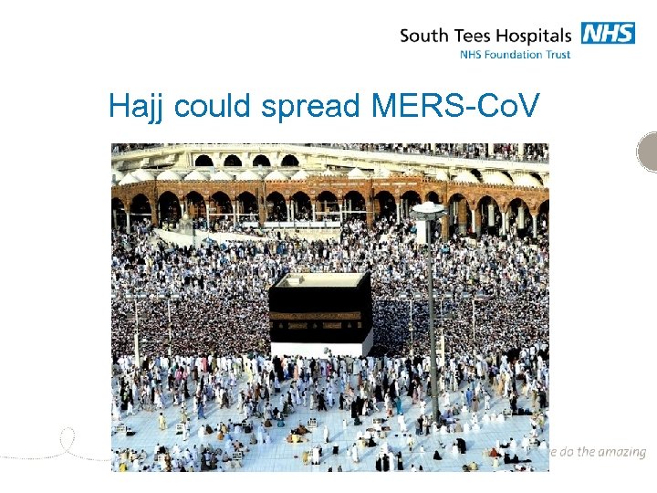 Hajj could spread MERS-Co. V 