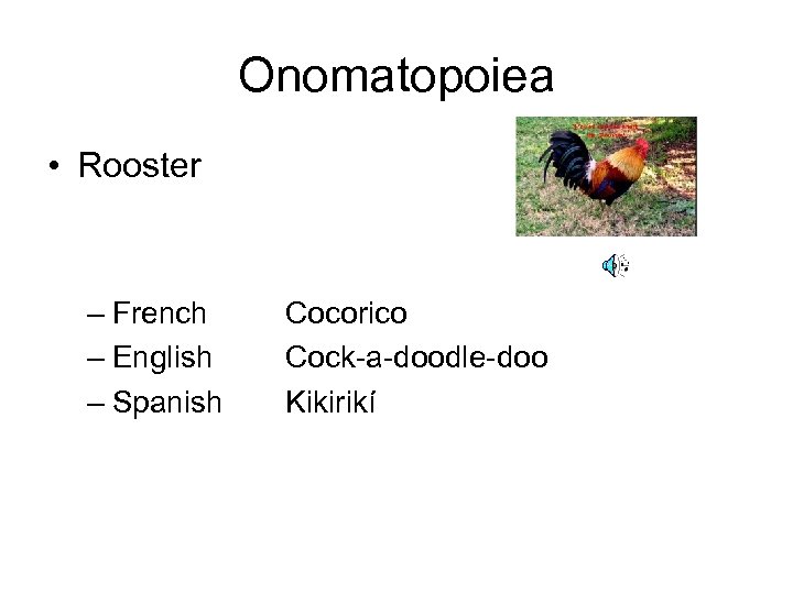 Onomatopoiea • Rooster – French – English – Spanish Cocorico Cock-a-doodle-doo Kikirikí 