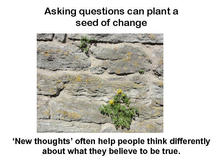 Asking questions can plant a seed of change ‘New thoughts’ often help people think