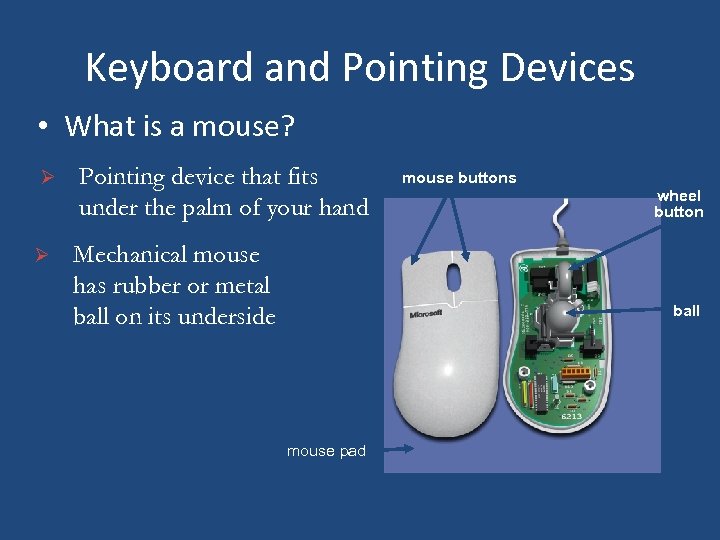 Keyboard and Pointing Devices • What is a mouse? Ø Pointing device that fits