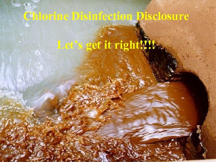 Chlorine Disinfection Disclosure Let’s get it right!!!! 