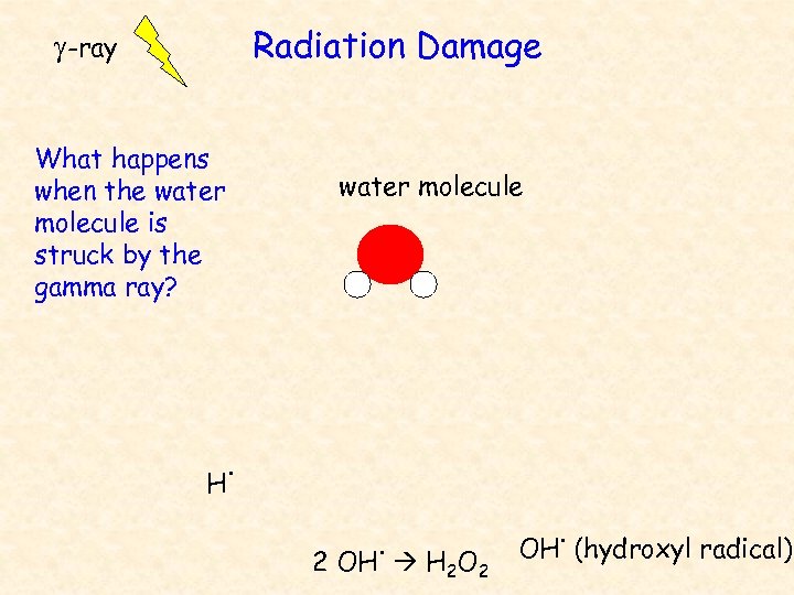 Radiation Damage g-ray What happens when the water molecule is struck by the gamma
