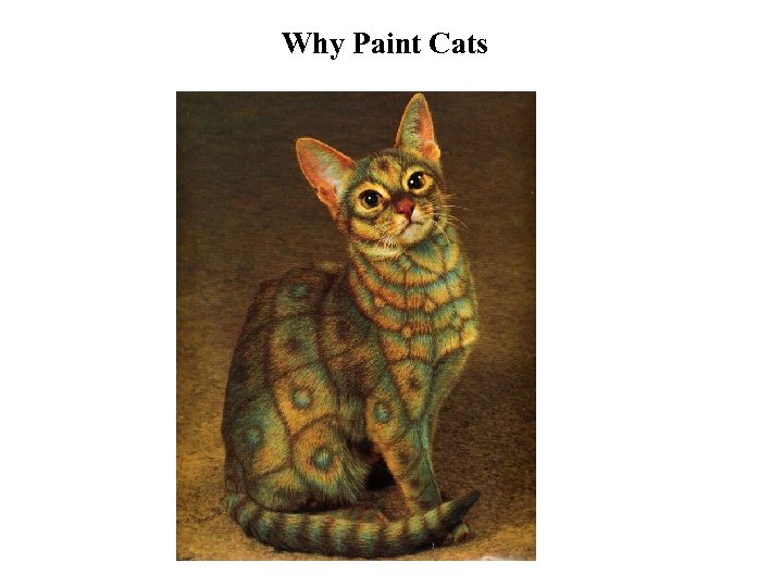 Why Paint Cats 