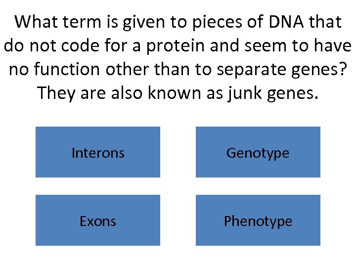 What term is given to pieces of DNA that do not code for a