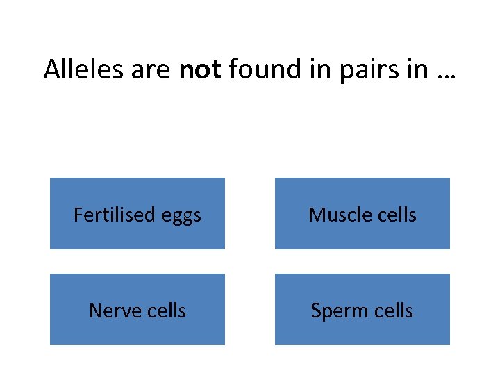 Alleles are not found in pairs in … Fertilised eggs Muscle cells Nerve cells