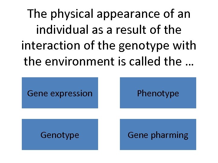 The physical appearance of an individual as a result of the interaction of the