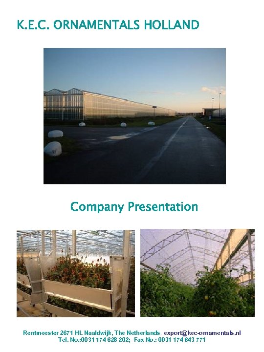 K. E. C. ORNAMENTALS HOLLAND Company Presentation Rentmeester 2671 HL Naaldwijk, The Netherlands. export@kec-ornamentals.