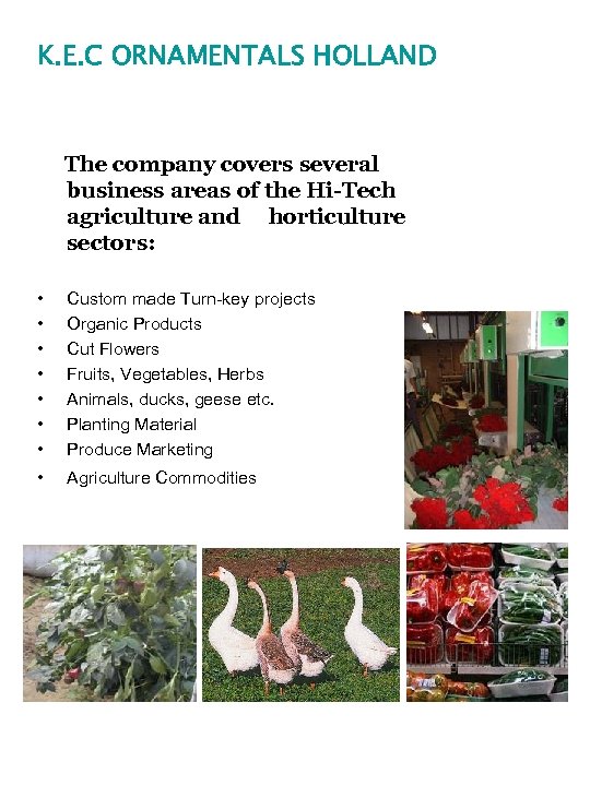 K. E. C ORNAMENTALS HOLLAND The company covers several business areas of the Hi-Tech