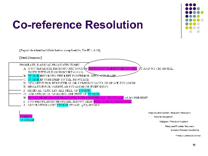 Co-reference Resolution 16 