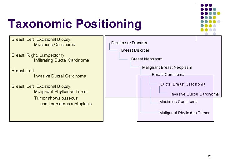Taxonomic Positioning Breast, Left, Excisional Biopsy: Mucinous Carcinoma Breast, Right, Lumpectomy: Infiltrating Ductal Carcinoma