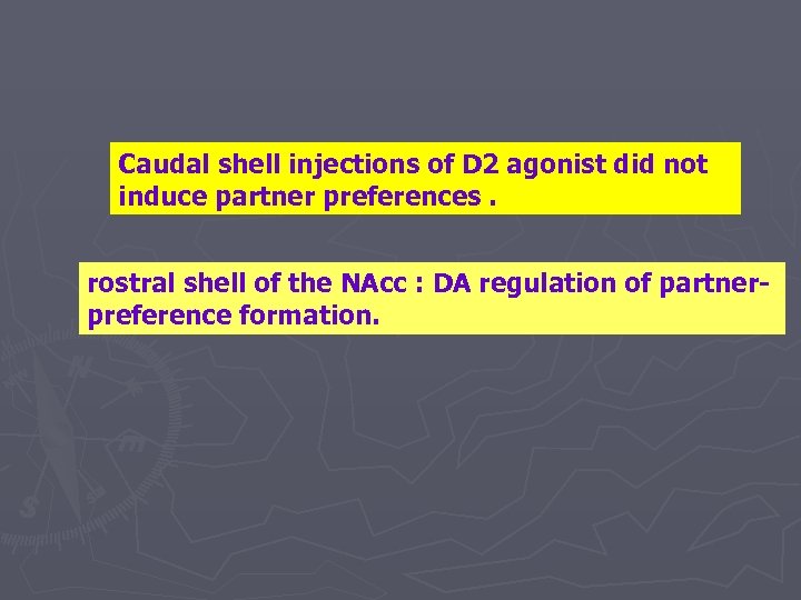 Caudal shell injections of D 2 agonist did not induce partner preferences. rostral shell