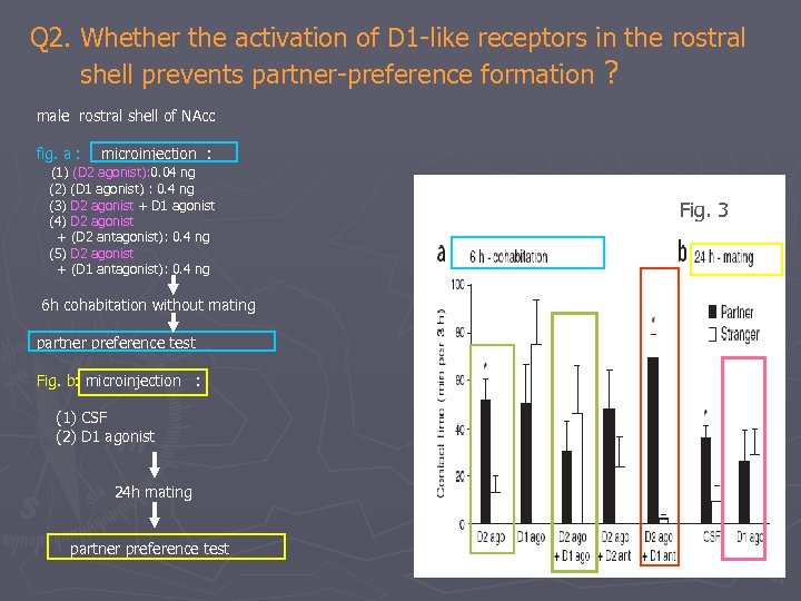 Q 2. Whether the activation of D 1 -like receptors in the rostral shell