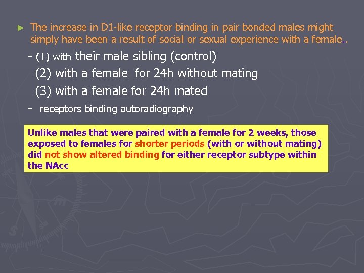 ► The increase in D 1 -like receptor binding in pair bonded males might