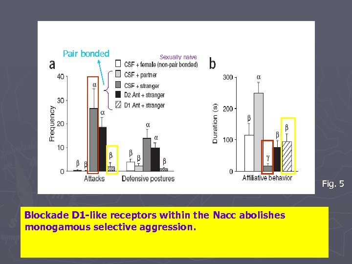Pair bonded Sexually naive Fig. 5 Blockade D 1 -like receptors within the Nacc