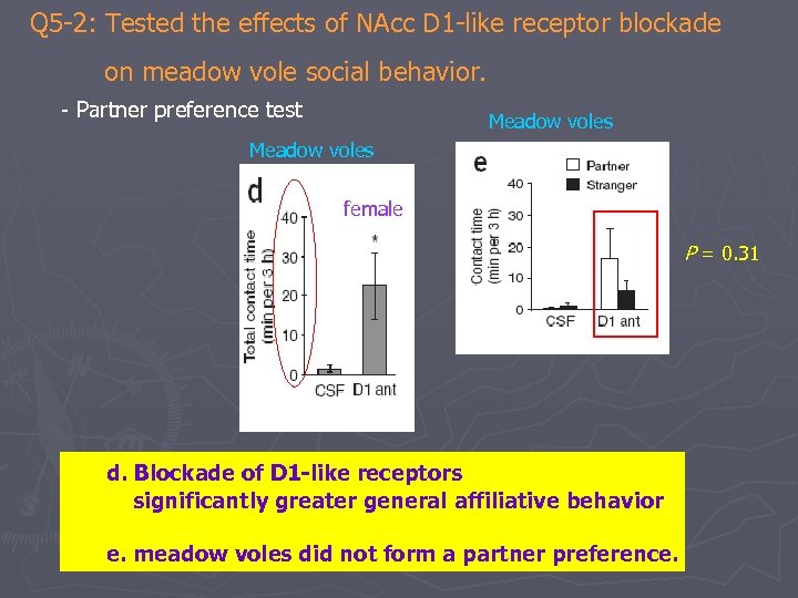 Q 5 -2: Tested the effects of NAcc D 1 -like receptor blockade on