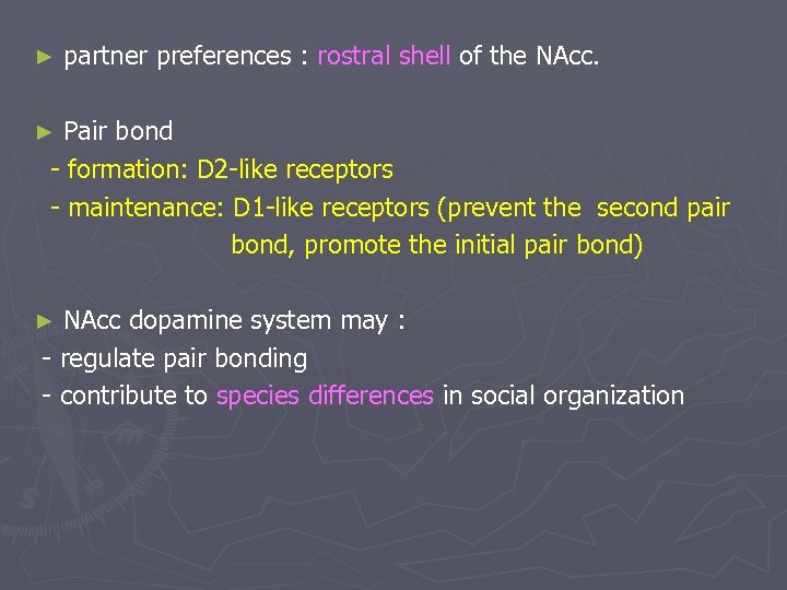 ► partner preferences : rostral shell of the NAcc. Pair bond - formation: D