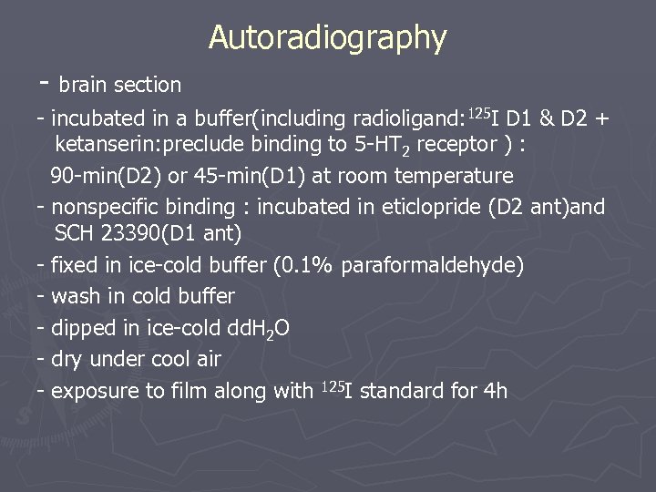 Autoradiography - brain section - incubated in a buffer(including radioligand: 125 I D 1