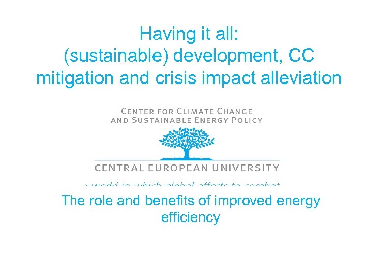 Having it all: (sustainable) development, CC mitigation and crisis impact alleviation The role and