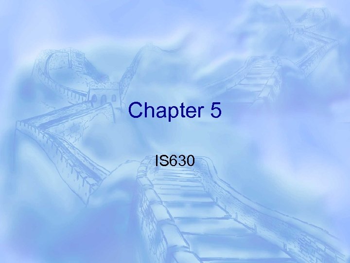 Chapter 5 IS 630 