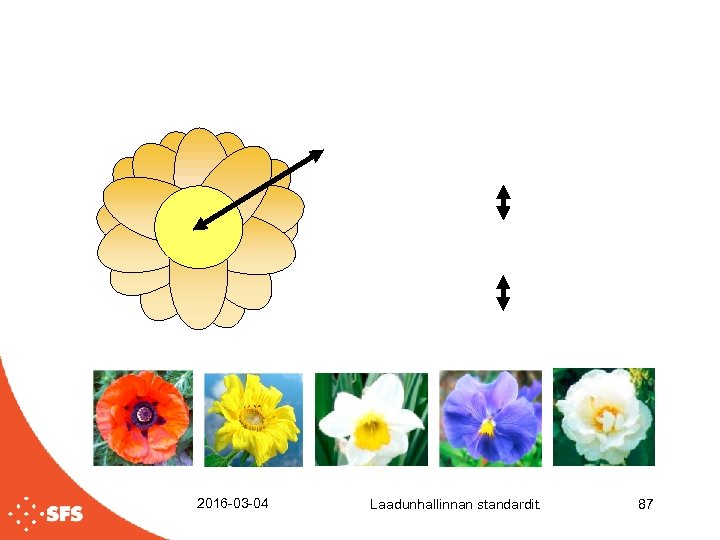 2016 -03 -04 Laadunhallinnan standardit. 87 