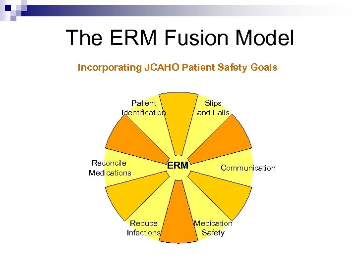 The ERM Fusion Model Incorporating JCAHO Patient Safety Goals Patient Identification Reconcile Medications Reduce