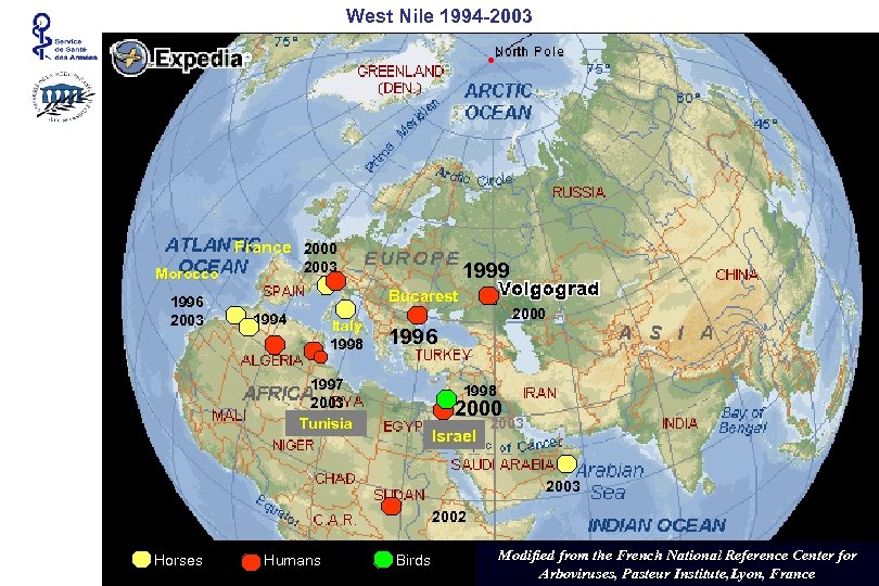 West Nile 1994 -2003 France 2000 1996 2003 1999 2003 Morocco Bucarest 1994 Italy