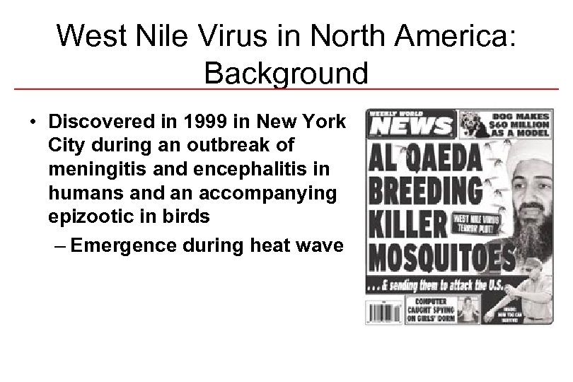 West Nile Virus in North America: Background • Discovered in 1999 in New York