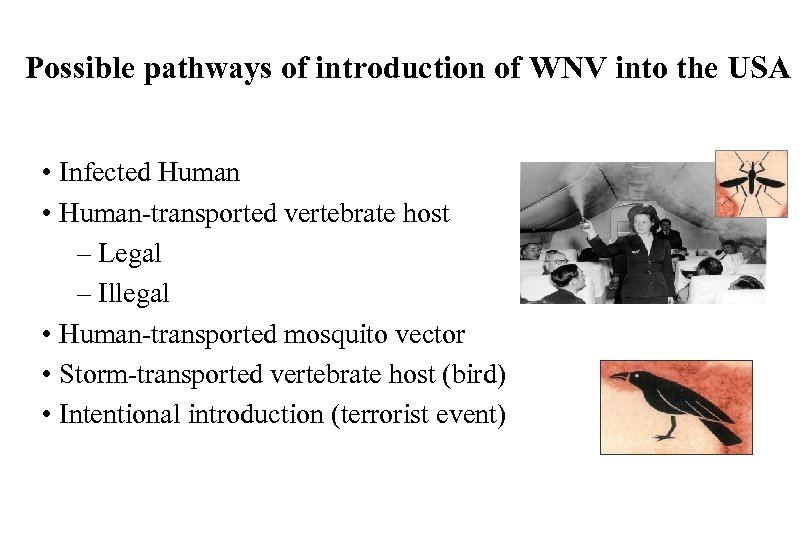 Possible pathways of introduction of WNV into the USA • Infected Human • Human-transported