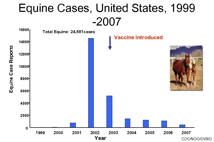 Equine Cases, United States, 1999 -2007 16000 Total Equine: 24, 681 cases Vaccine introduced