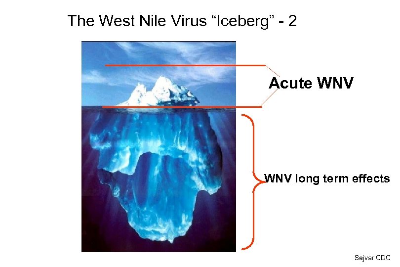 The West Nile Virus “Iceberg” - 2 Acute WNV long term effects Sejvar CDC