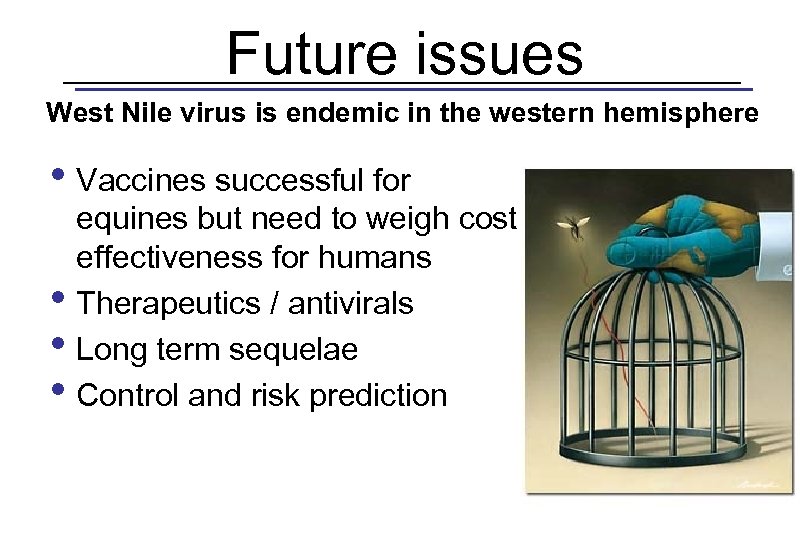 Future issues West Nile virus is endemic in the western hemisphere • Vaccines successful