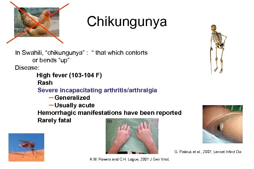 Chikungunya In Swahili, “chikungunya” : “ that which contorts or bends “up” Disease: High