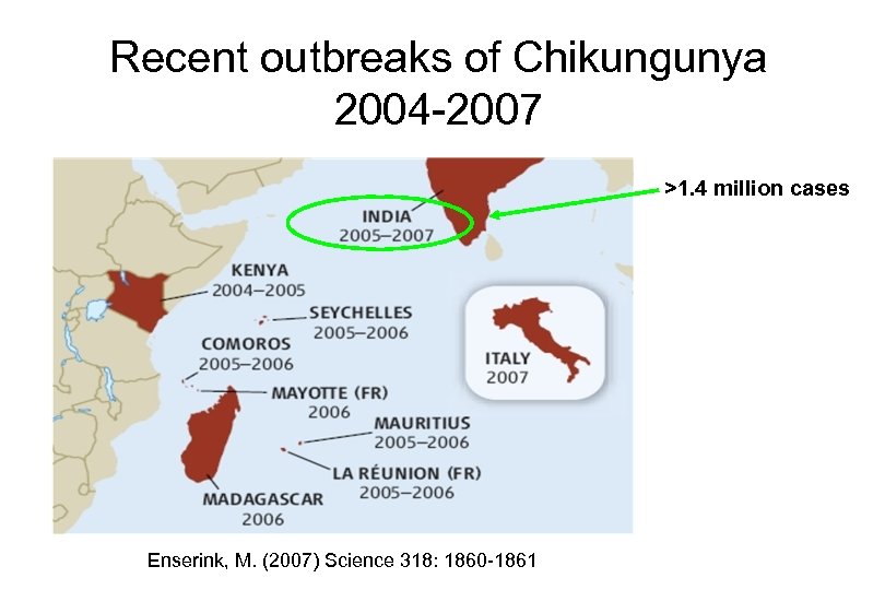 Recent outbreaks of Chikungunya 2004 -2007 >1. 4 million cases Enserink, M. (2007) Science