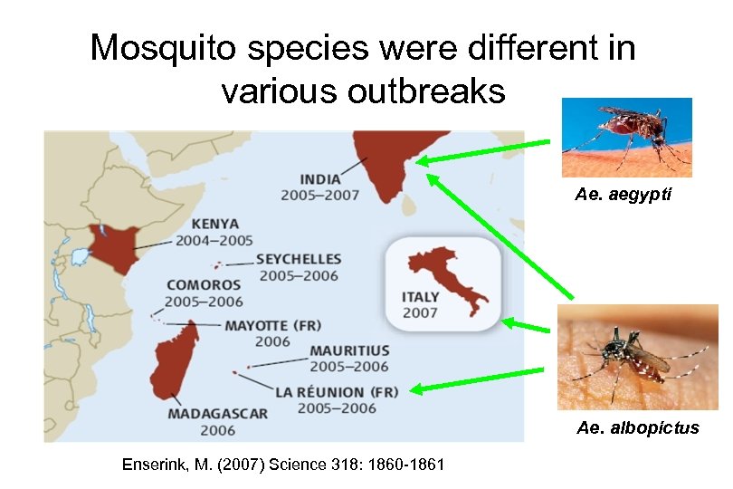 Mosquito species were different in various outbreaks Ae. aegypti Ae. albopictus Enserink, M. (2007)