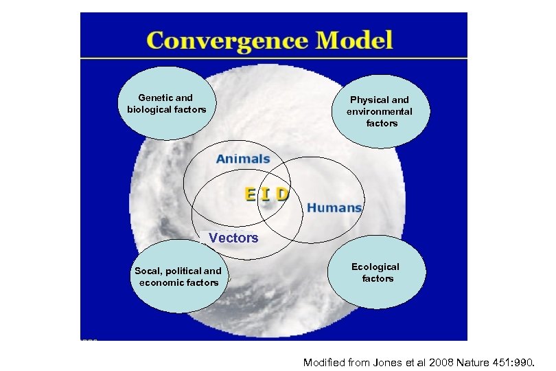 Genetic and biological factors Physical and environmental factors Vectors Socal, political and economic factors