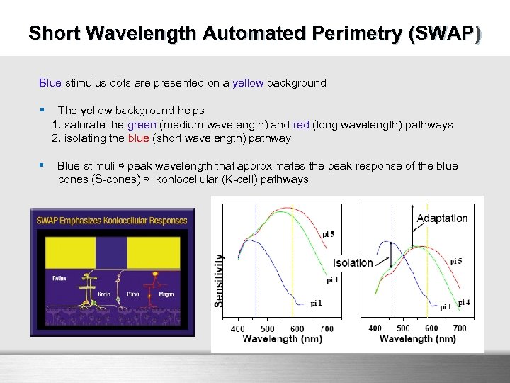 SWAP Short Wavelength Automated Perimetry (SWAP) Blue stimulus dots are presented on a yellow