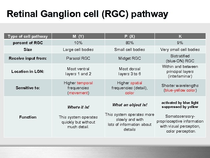 Retinal Ganglion cell (RGC) pathway Type of cell pathway M (Y) P (X) K