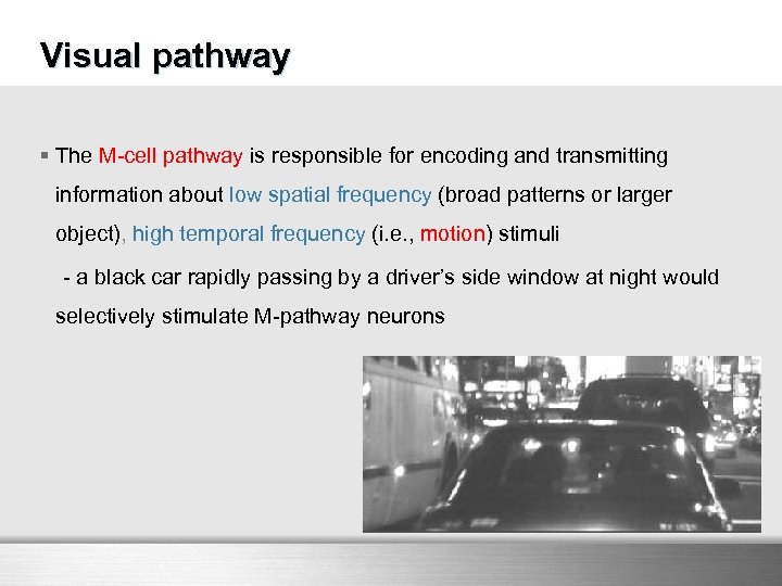 Visual pathway § The M-cell pathway is responsible for encoding and transmitting information about