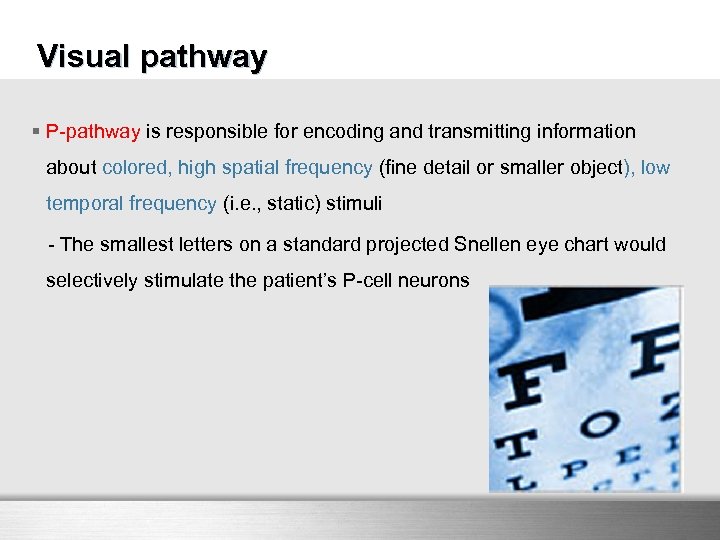 Visual pathway § P-pathway is responsible for encoding and transmitting information about colored, high