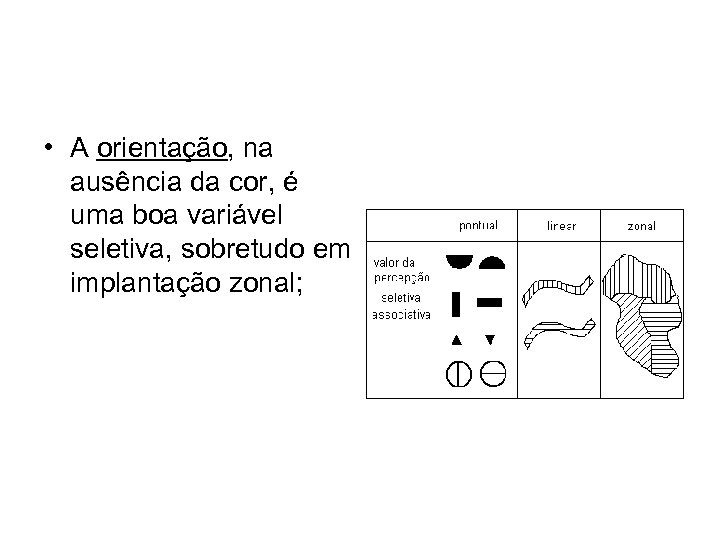  • A orientação, na ausência da cor, é uma boa variável seletiva, sobretudo