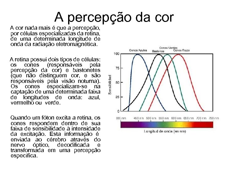 A percepção da cor A cor nada mais é que a percepção, por células