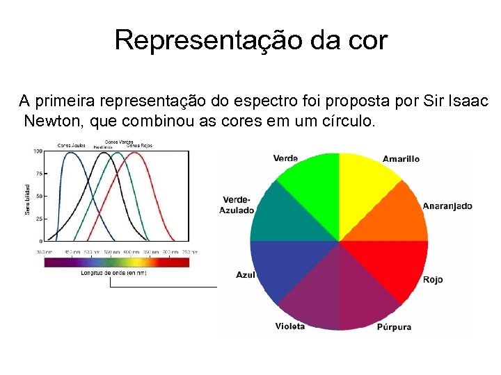 Representação da cor A primeira representação do espectro foi proposta por Sir Isaac Newton,