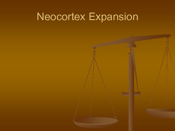 Neocortex Expansion 