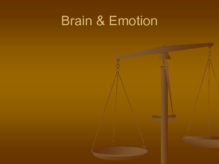 Brain & Emotion 