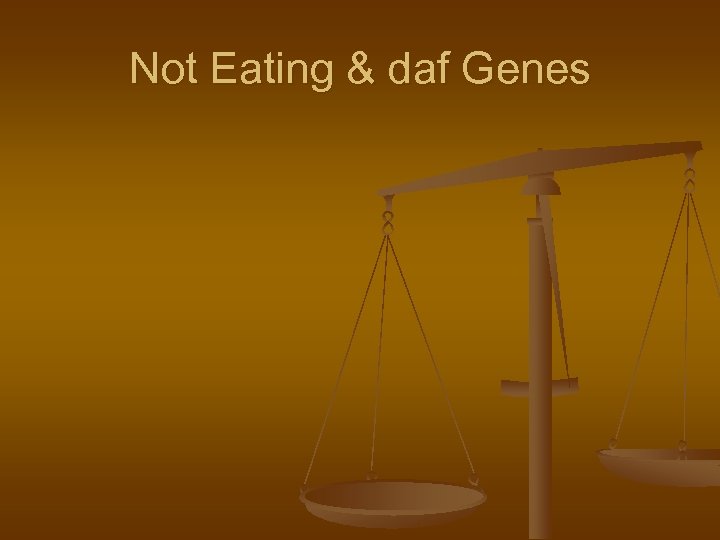 Not Eating & daf Genes 