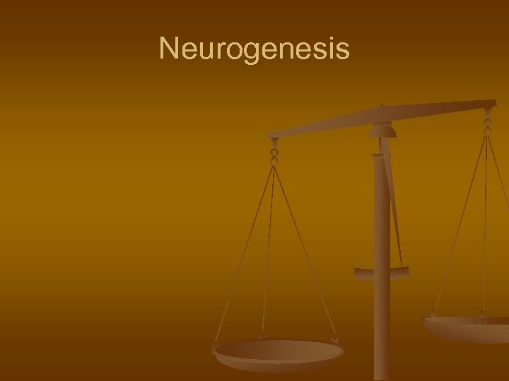 Neurogenesis 