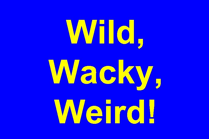 Wild, Wacky, Weird! 